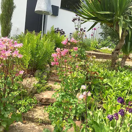 Studio Am Waldrand Bed & Breakfast
