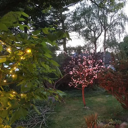 Bed & Breakfast Studio Am Waldrand Nideggen